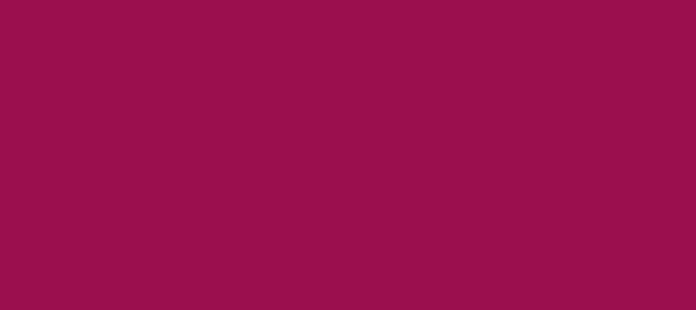 Color #9B114E Jazzberry Jam (background png icon) HTML CSS