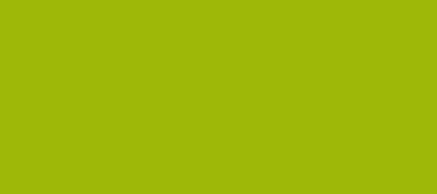 Color #9EB808 Citrus (background png icon) HTML CSS