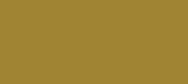 Color #A08433 Reef Gold (background png icon) HTML CSS