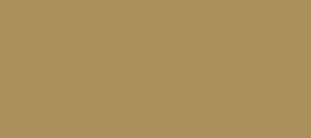 Color #AA905B Teak (background png icon) HTML CSS