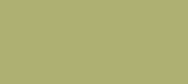 Color #AEB072 Dark Khaki (background png icon) HTML CSS
