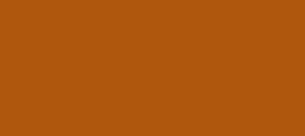 Color #AF570D Rust (background png icon) HTML CSS