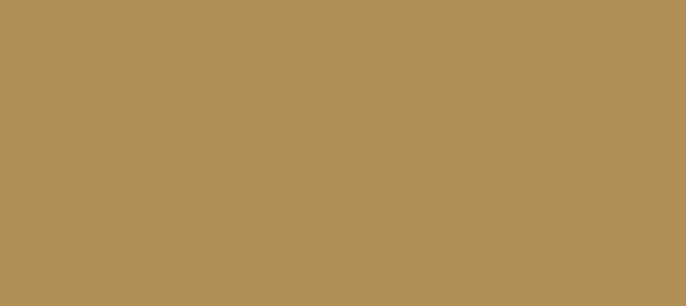 Color #B18F54 Teak (background png icon) HTML CSS