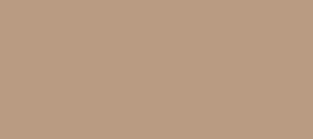 Color #B99B82 Pale Taupe (background png icon) HTML CSS