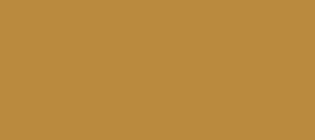 Color #BA8A3E Marigold (background png icon) HTML CSS