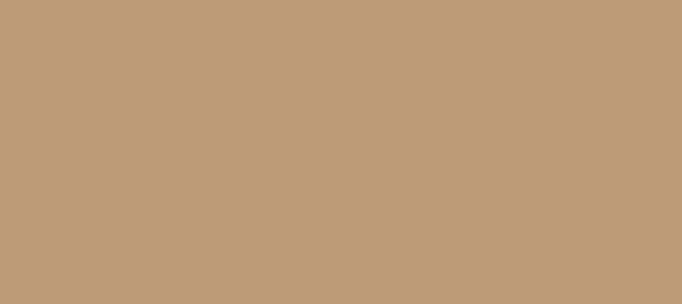 Color #BD9B77 Pale Taupe (background png icon) HTML CSS