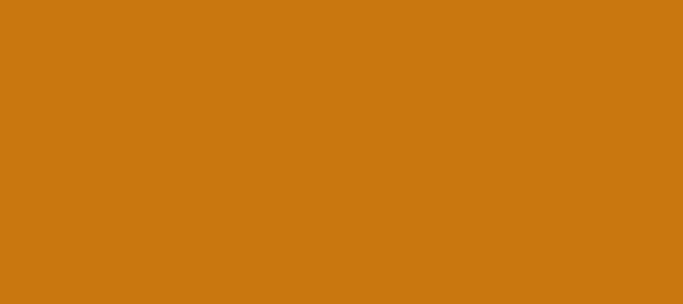 Color #C9770F Ochre (background png icon) HTML CSS