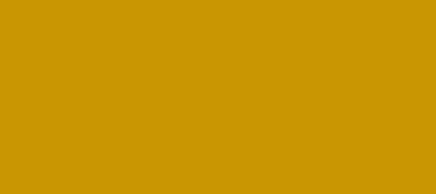 Color #C99602 Dark Goldenrod (background png icon) HTML CSS
