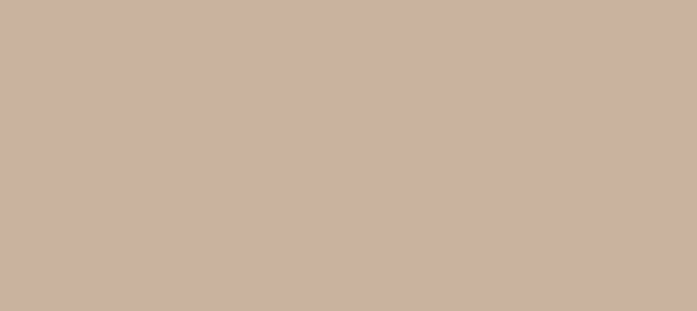 Color #C9B39E Vanilla (background png icon) HTML CSS