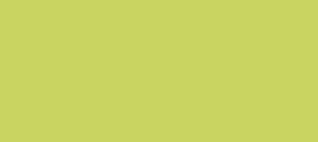 Color #C9D461 Wild Willow (background png icon) HTML CSS