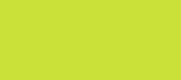 Color #C9E139 Las Palmas (background png icon) HTML CSS