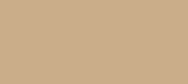 Color #CAAD89 Tan (background png icon) HTML CSS