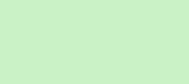 Color #CAF2C6 Snowy Mint (background png icon) HTML CSS