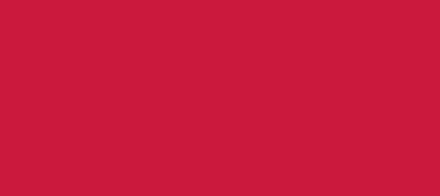 Color #CB193D Cardinal (background png icon) HTML CSS