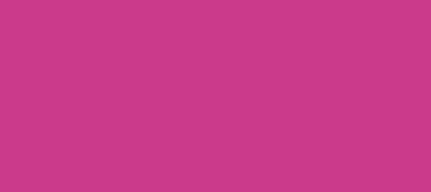 Color #CB3A8B Deep Cerise (background png icon) HTML CSS