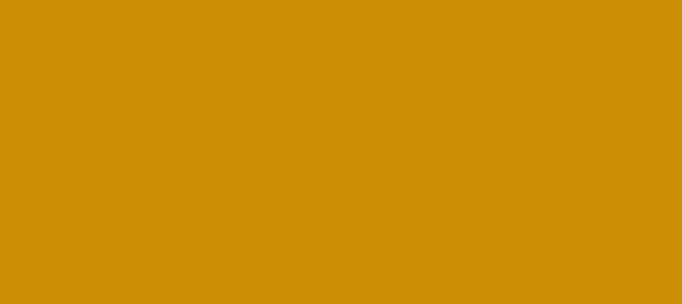 Color #CB8E04 Dark Goldenrod (background png icon) HTML CSS