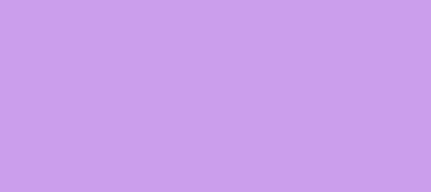 Color #CB9EEC Wisteria (background png icon) HTML CSS