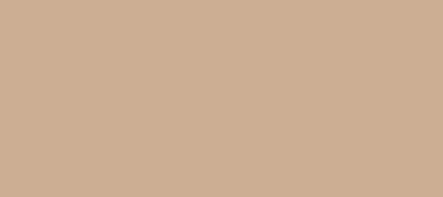 Color #CCAE93 Cashmere (background png icon) HTML CSS