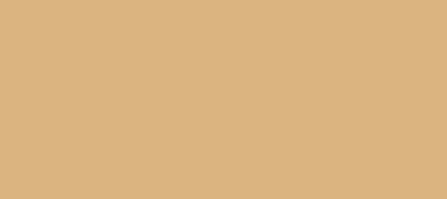 Color #DBB480 Calico (background png icon) HTML CSS