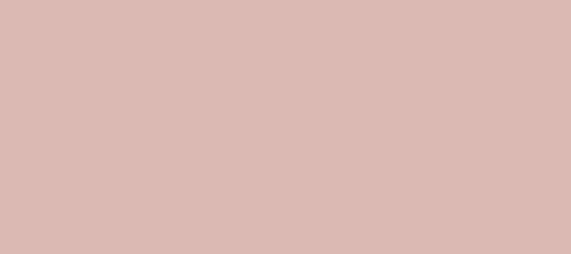 Color #DBB9B3 Cavern Pink (background png icon) HTML CSS