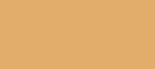 Color #E0AE6A Harvest Gold (background png icon) HTML CSS