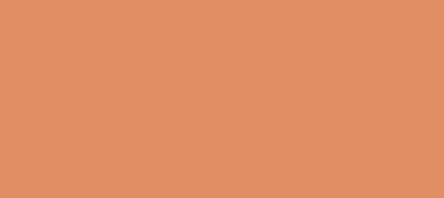 Color #E28E64 Copper (background png icon) HTML CSS