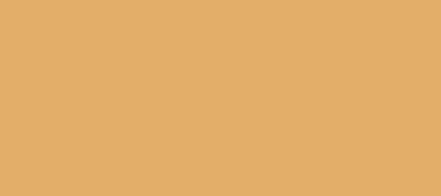 Color #E3AE69 Harvest Gold (background png icon) HTML CSS