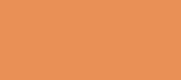 Color #E78F54 Sea Buckthorn (background png icon) HTML CSS