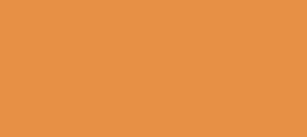 Color #E79045 Sea Buckthorn (background png icon) HTML CSS