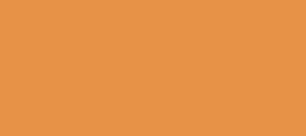 Color #E79247 Sea Buckthorn (background png icon) HTML CSS