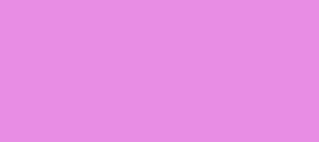 Color #E88DE4 Violet (background png icon) HTML CSS