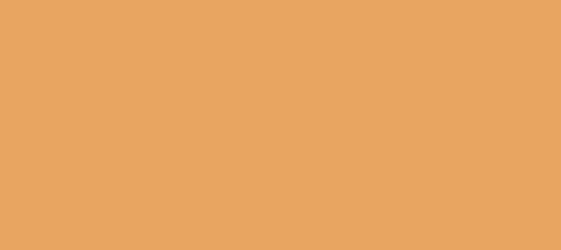 Color #E8A461 Sandy Brown (background png icon) HTML CSS