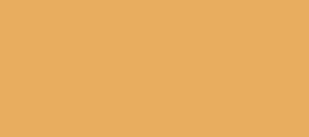 Color #E8AD5F Harvest Gold (background png icon) HTML CSS