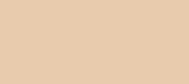 Color #E8CBAC Desert Sand (background png icon) HTML CSS