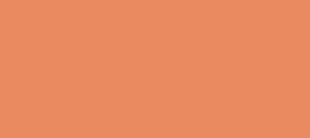 Color #E98A60 Copper (background png icon) HTML CSS