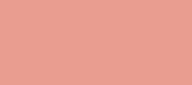 Color #E99D90 Tonys Pink (background png icon) HTML CSS