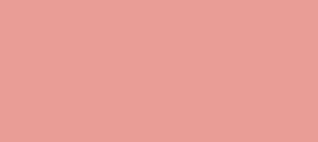 Color #E99D96 Sweet Pink (background png icon) HTML CSS