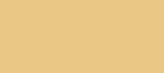 Color #E9C883 Marzipan (background png icon) HTML CSS