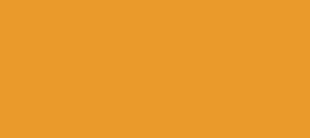 Color #EA9A2B Carrot Orange (background png icon) HTML CSS