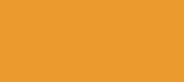 Color #EB9A2D Yellow Sea (background png icon) HTML CSS