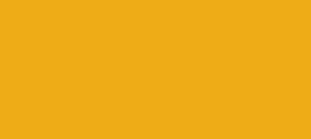 Color #EEAC17 Dark Tangerine (background png icon) HTML CSS