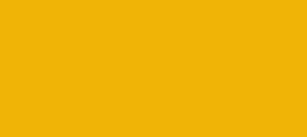 Color #EFB405 Selective Yellow (background png icon) HTML CSS