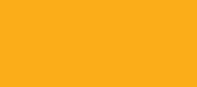 Color #FBAD19 Dark Tangerine (background png icon) HTML CSS