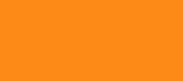 Color #FD8917 Carrot Orange (background png icon) HTML CSS