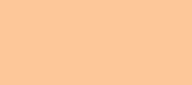 Color #FDC799 Peach-Orange (background png icon) HTML CSS