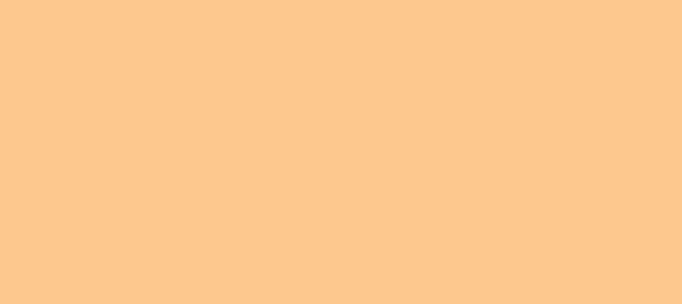 Color #FDC88E Peach-Orange (background png icon) HTML CSS