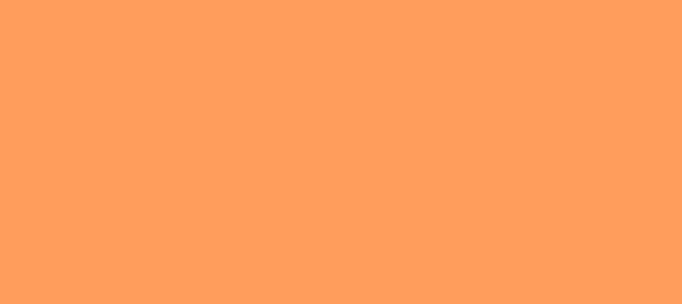 Color #FE9E5D Atomic Tangerine (background png icon) HTML CSS