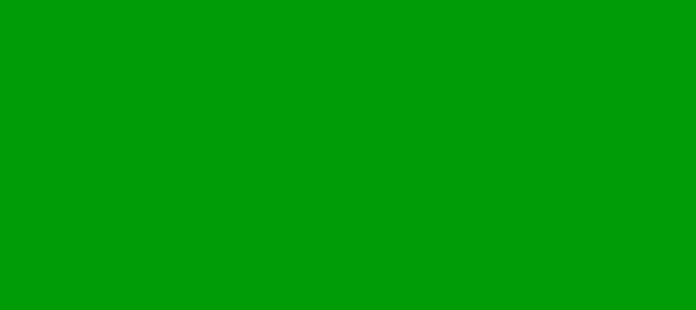 Color #009C07 Islamic Green (background png icon) HTML CSS