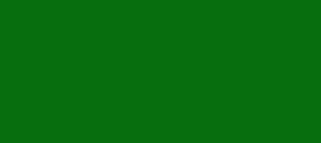 Color #076E0E Green (background png icon) HTML CSS