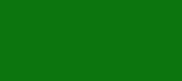 Color #0E750E Green (background png icon) HTML CSS